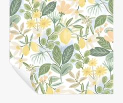 Amalfi Peel & Stick Wallpaper|RIFLE PAPER Co. Sale