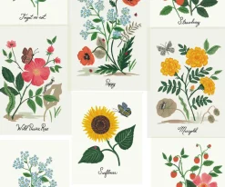 Botanical Prints Wallpaper|RIFLE PAPER Co. Fashion