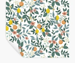 Citrus Grove Peel & Stick Wallpaper|RIFLE PAPER Co. Fashion
