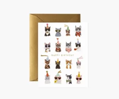 Cool Cats Birthday|RIFLE PAPER Co. Online