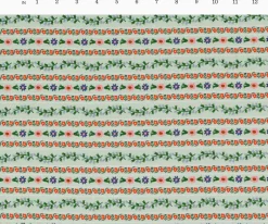 Delphine Cotton Fabric|RIFLE PAPER Co. New