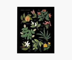 Herbs & Spices Charcoal Art Print|RIFLE PAPER Co. Discount
