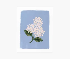 Hydrangea Bloom Blue Art Print|RIFLE PAPER Co. Clearance