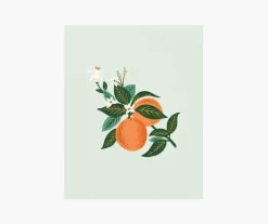 Orange Blossom Art Print|RIFLE PAPER Co. Sale